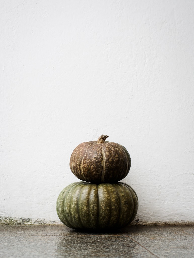 Daniella-Witte_stillife_autumn-3