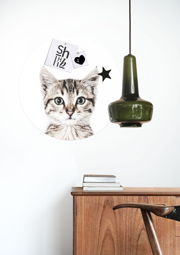 MAGNET STICKER CAT